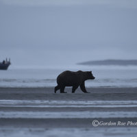 Cold Mornings in Alaska