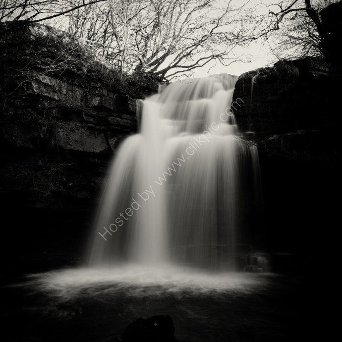 Summerhill Force #4