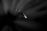 2016 International Monochrome Photography Awards