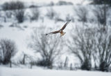 2012 Landscape Photographer of the Year