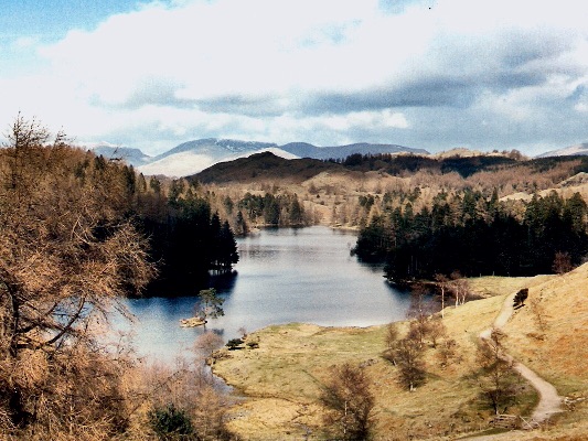 Autumn at Tarn Howes