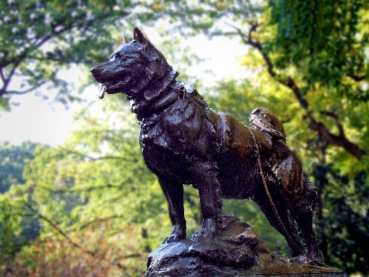‘Balto’,Central Park, NY
