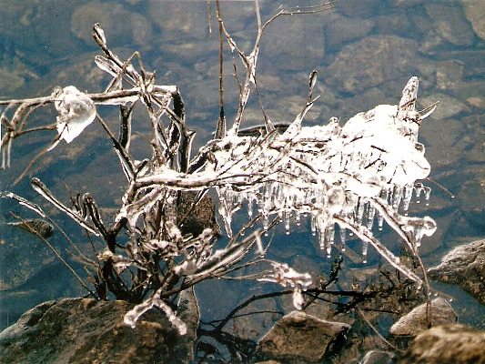 Frozen