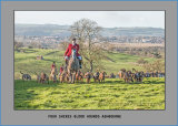 Four Shires Blood Hounds Boxing Day 2016