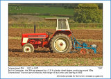International 354