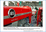 Massey Ferguson 165