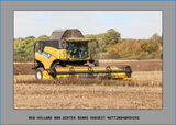 Last of the bean harvest Notts / Lincs border 2020