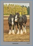 PS027 Working Horses