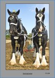 PS04 Working Horses