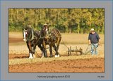 PS 022 Working Horses