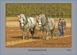 PS 029 Working Horses