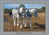 PS 037 Working Horses