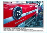 T232 Massey Ferguson 175