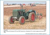 T294 Oliver 80