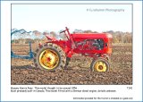 T341 MH Pony