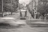 Nottingham Tram, The Forest