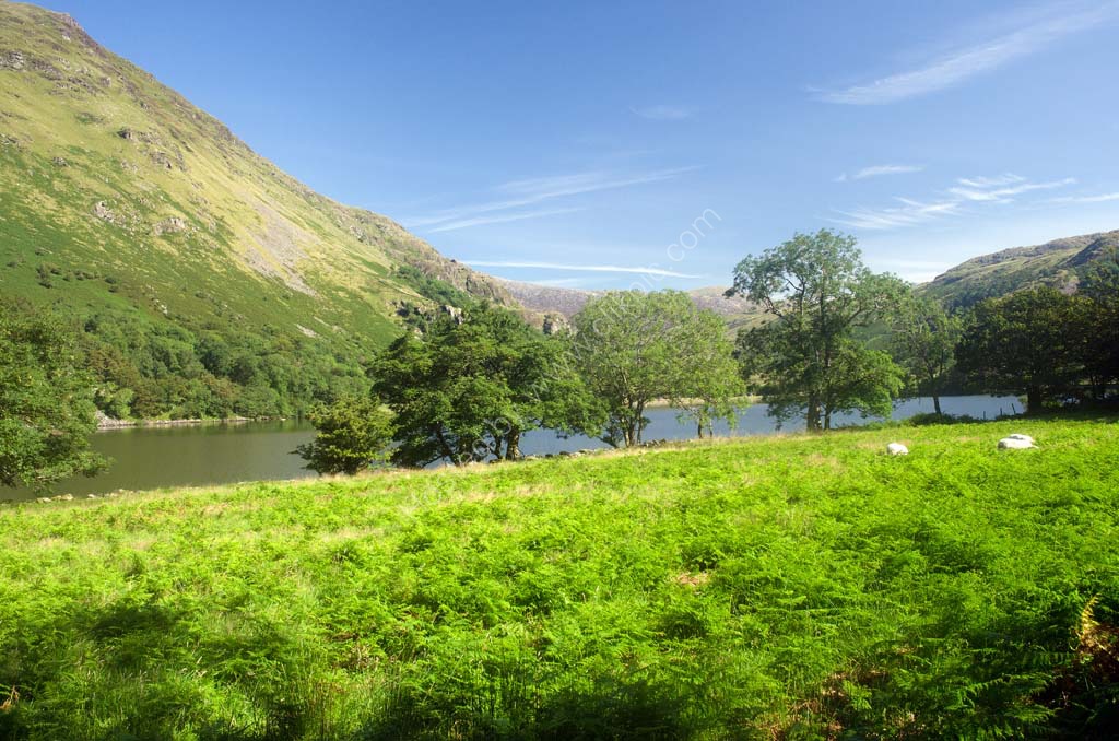 Llyn Gwynant