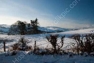 Snow Scene(2)