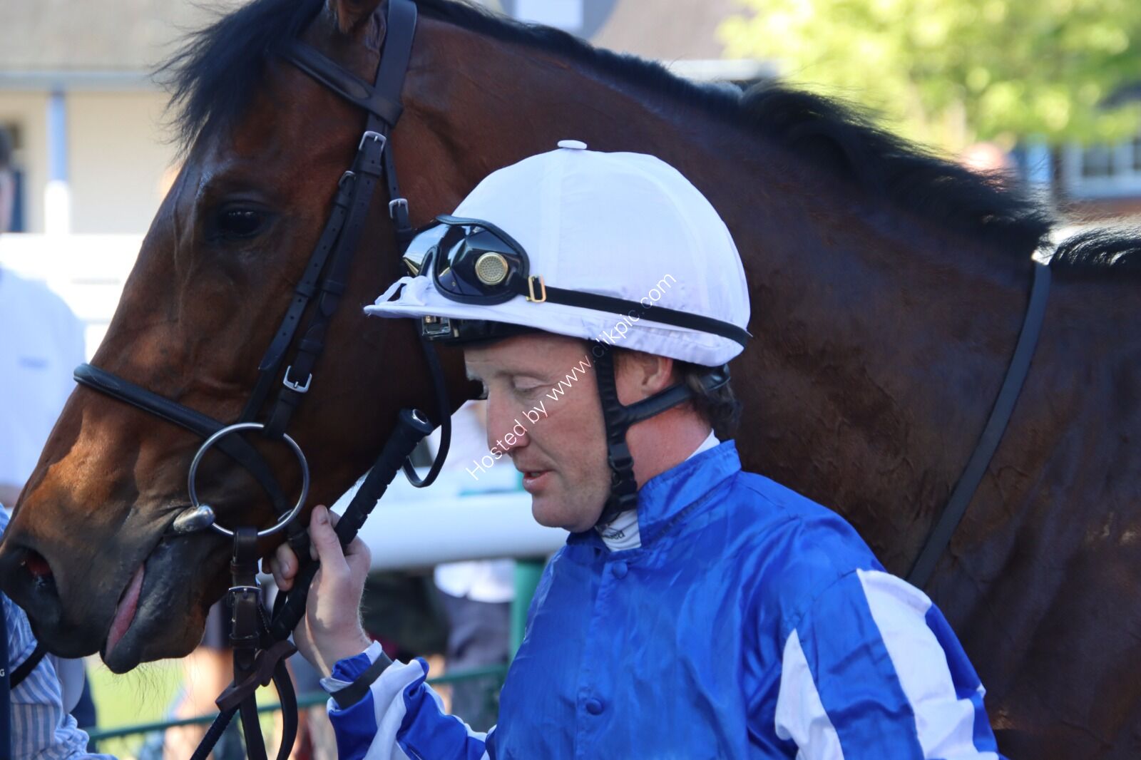 10 May R1 Shaman Champion & Pat Cosgrave