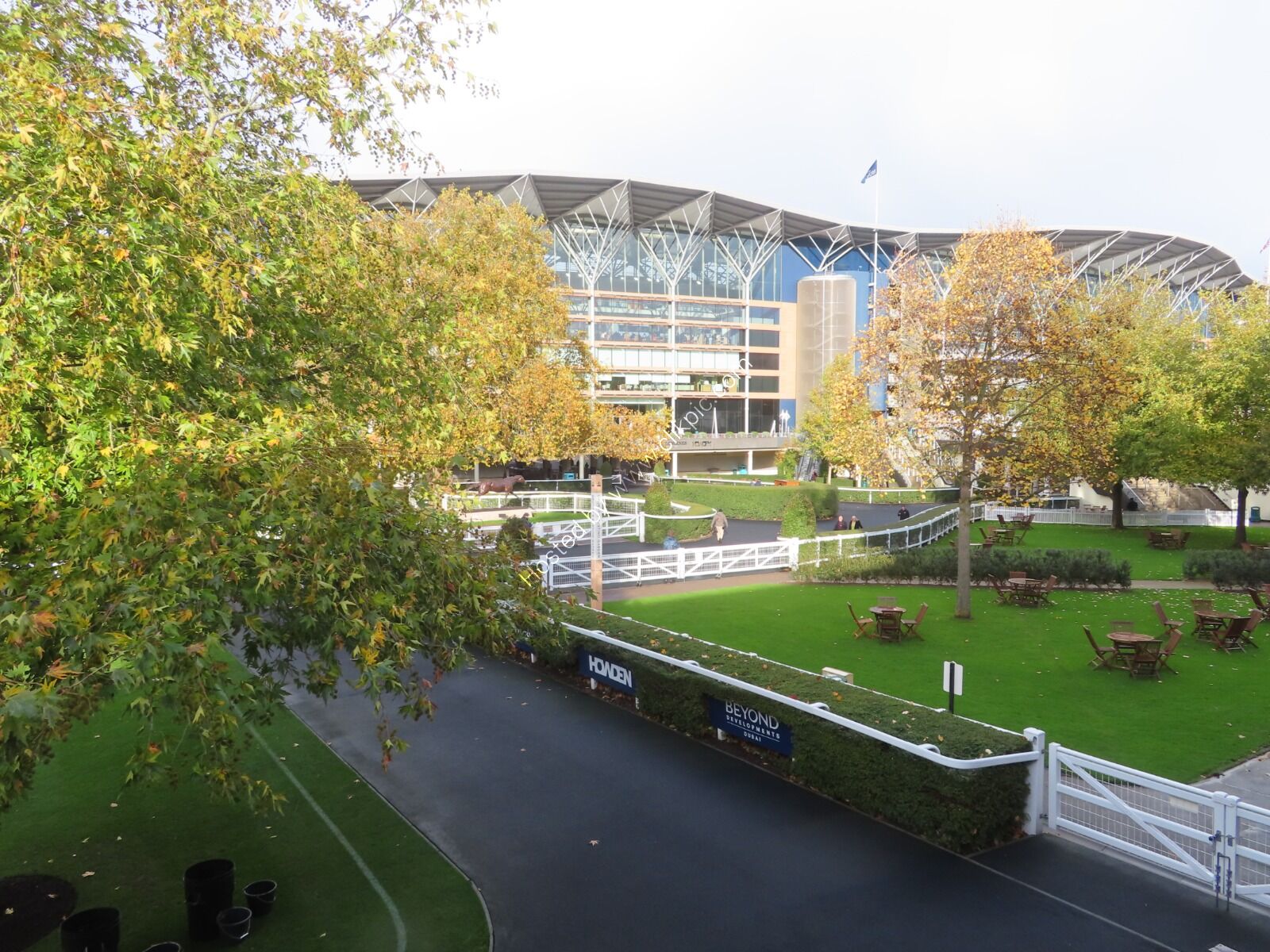 1 Nov Ascot 7