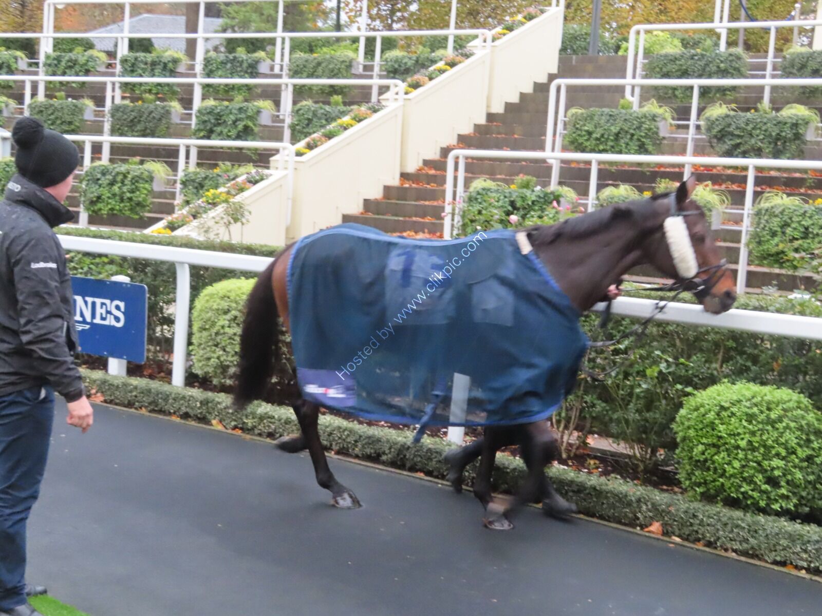 1 Nov Ascot Snipe 10