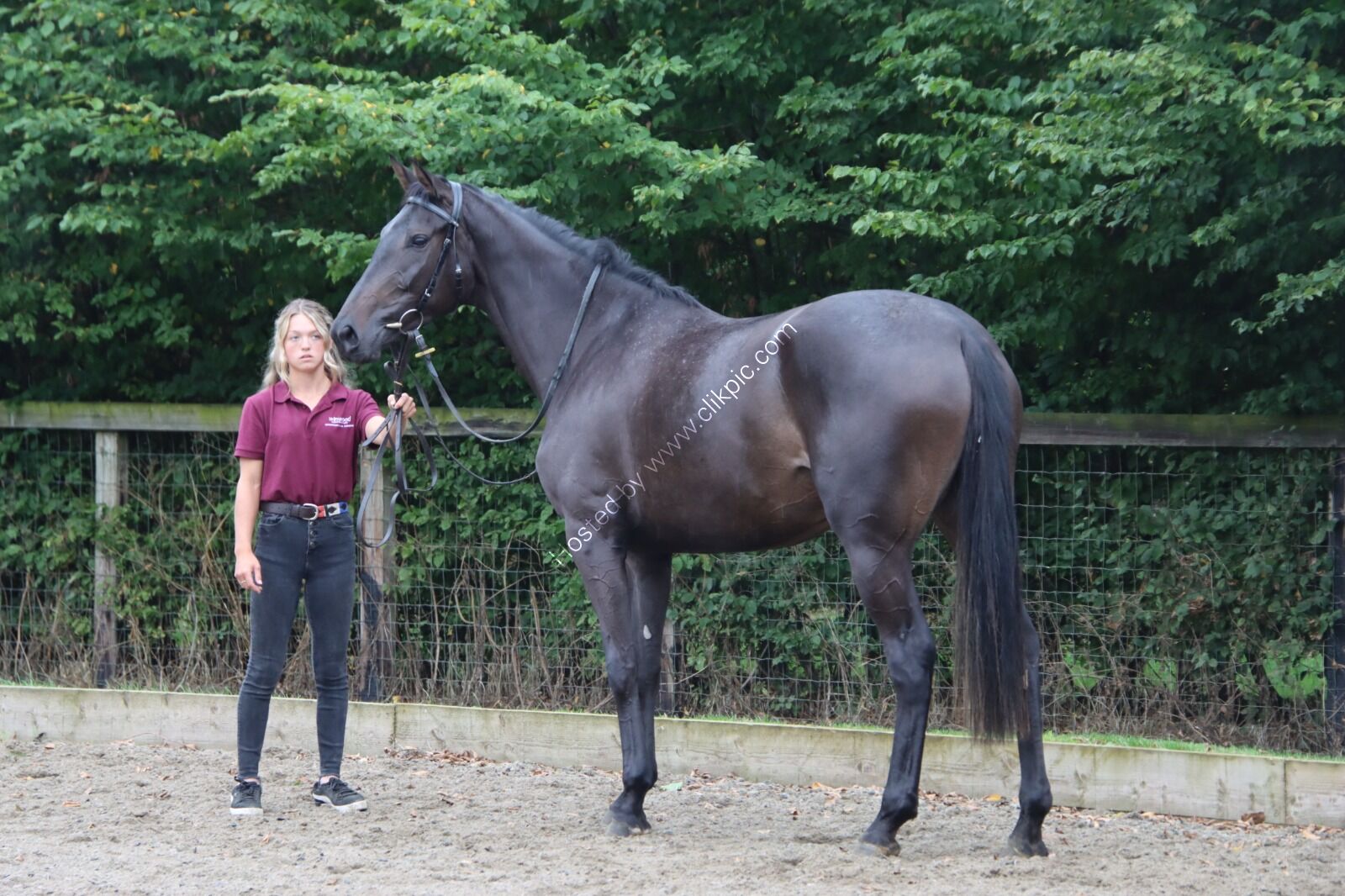 2025 Open Day Pass The Chablis
