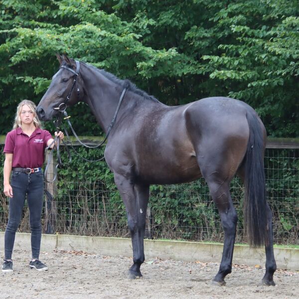 2025 Open Day Pass The Chablis