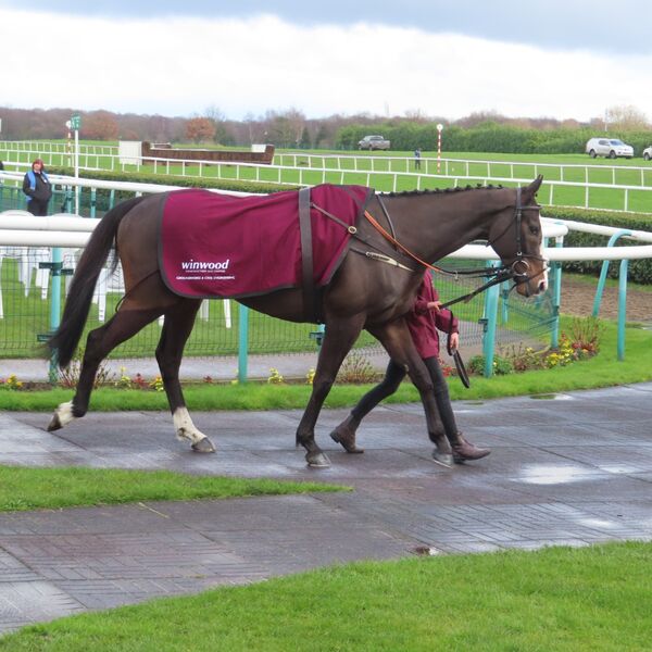 Doncaster - Nothinelsematters