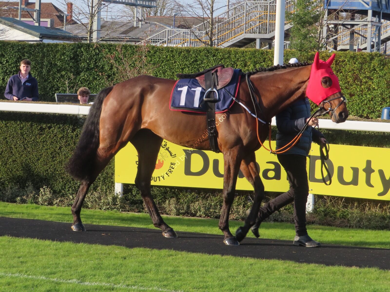 Eaton Anne at Newbury