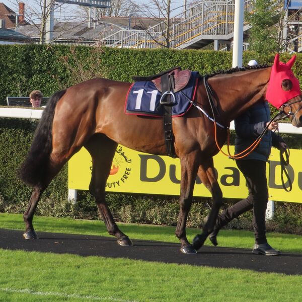Eaton Anne at Newbury