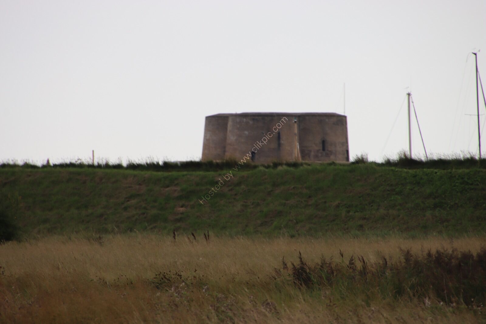 IMG 3781