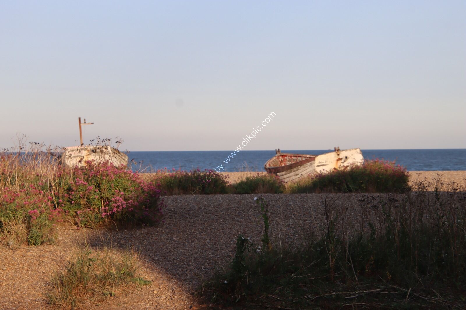 IMG 7166