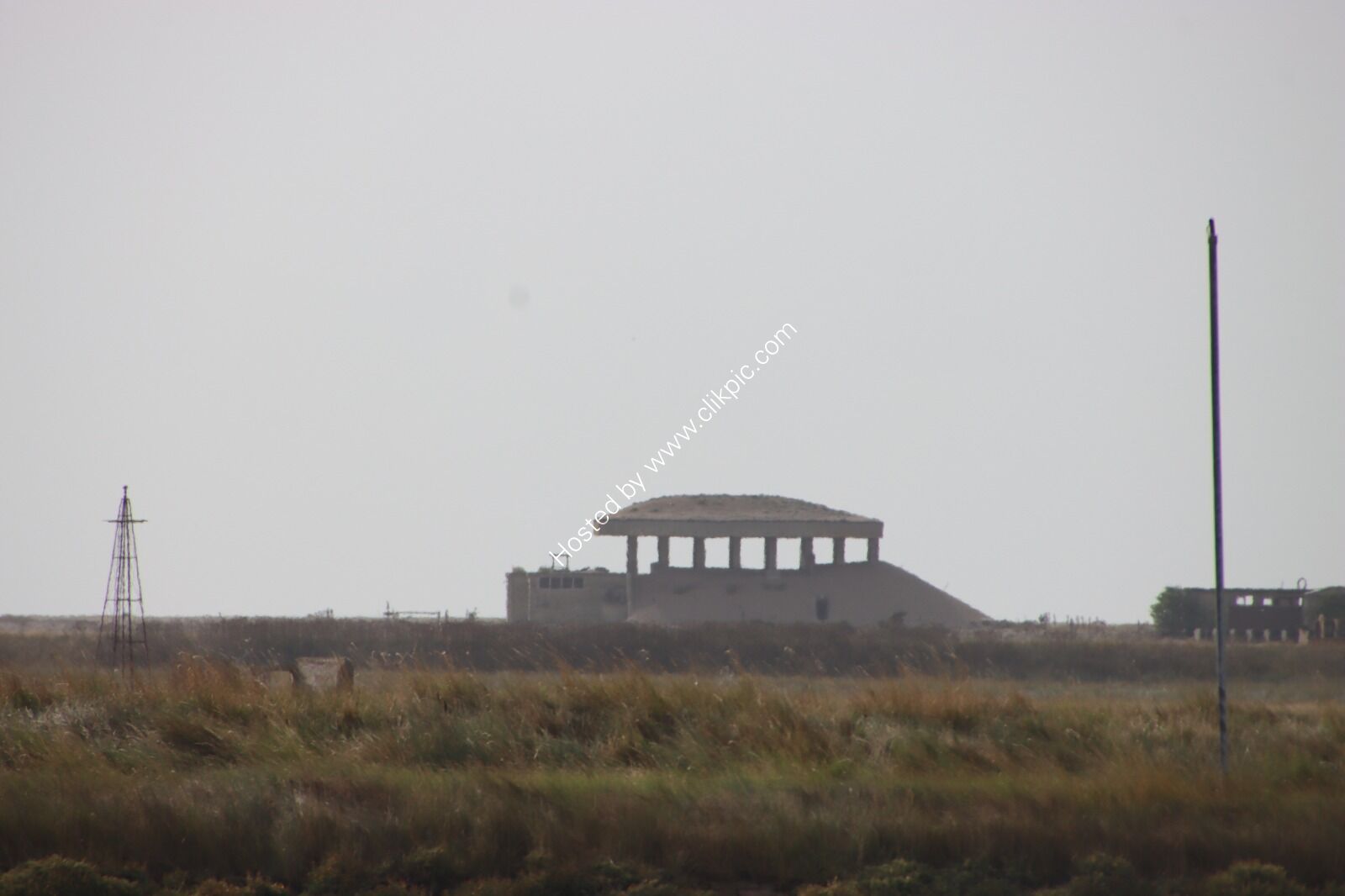 IMG 7196