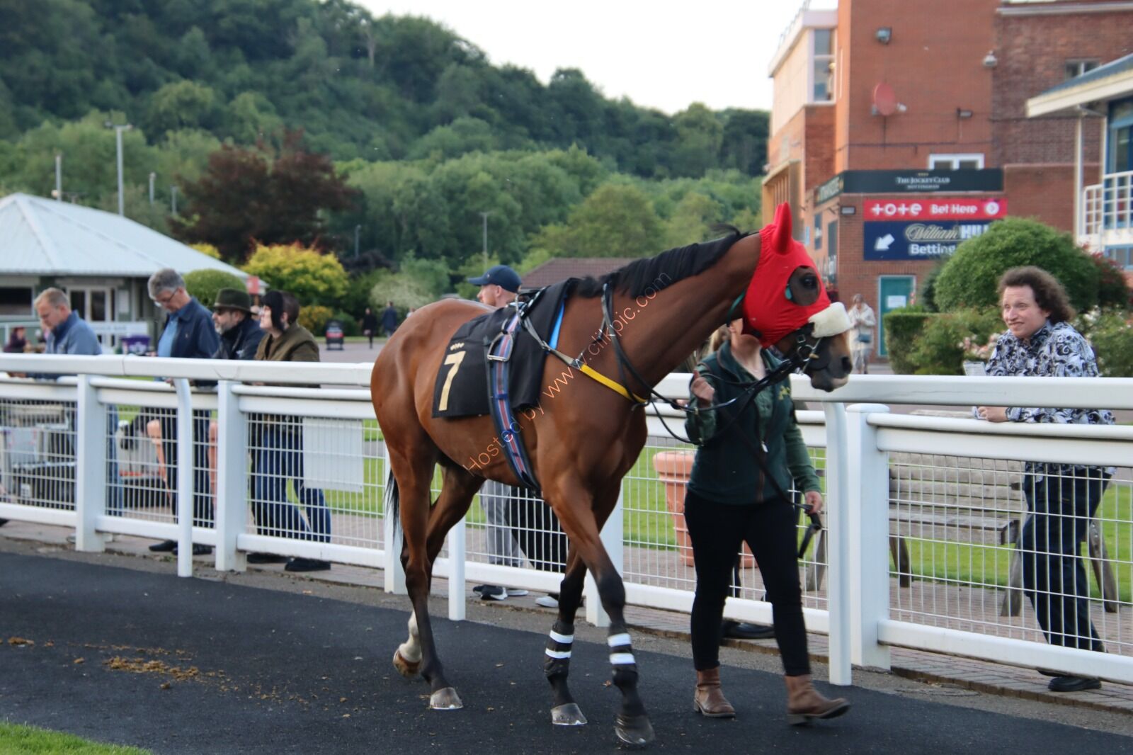 R7 Mrs Meader