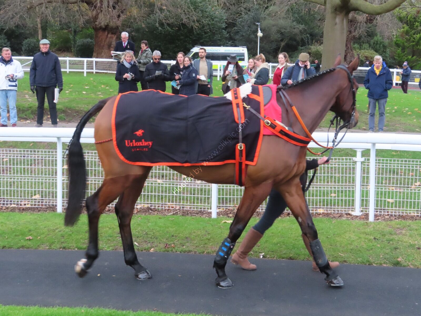 Sandown - Bali Body