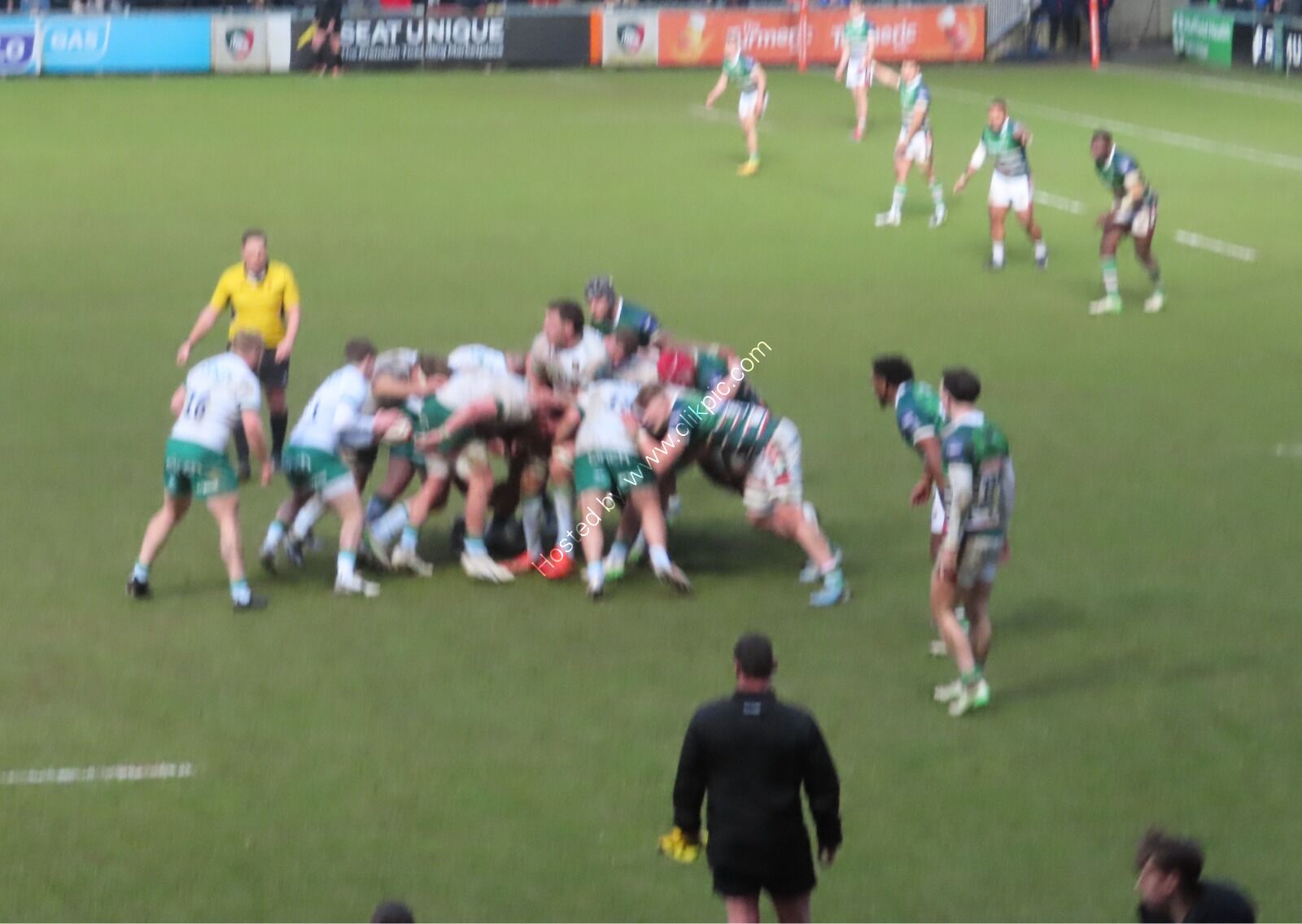 Tigers v Saints