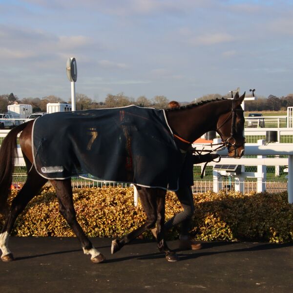 Warwick - Nothinelsematters (2)