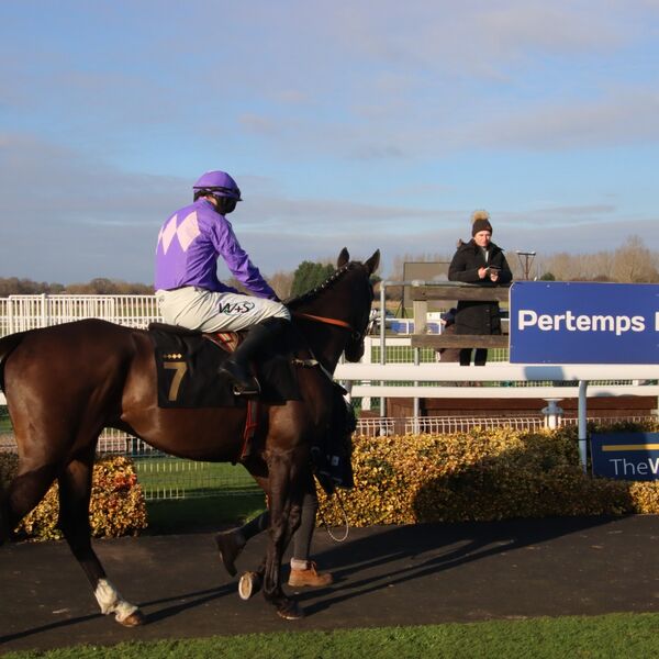 Warwick - Nothinelsematters (3)