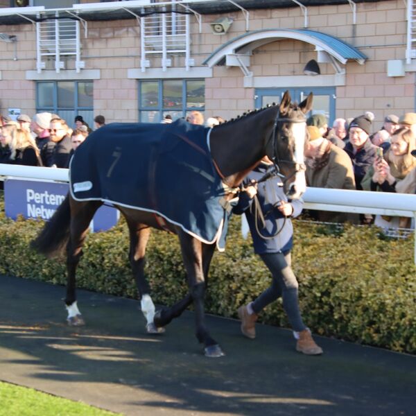 Warwick - Nothinelsematters