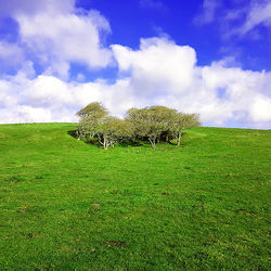 Beautiful Place