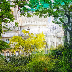Brighton Royal Pavillon