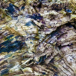 Coloured Wood