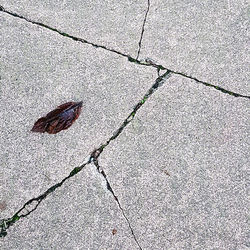 Cracks and Leaf
