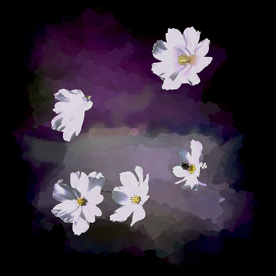 Floating Flowers