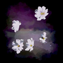 Floating Flowers