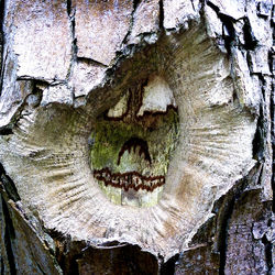 Halloween Tree Face