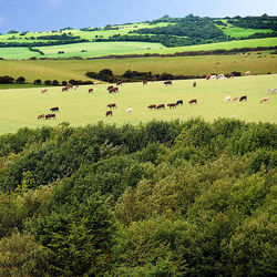 Layered Landscape