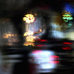 Night Flowers
