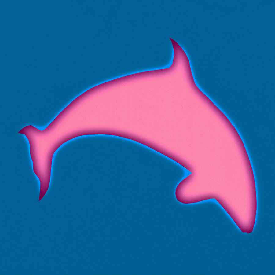 Orca Leap! Turquise-Pink