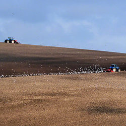 Ploughing the fields near Balmer Down - South Downs